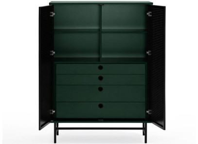 Mueble Auxiliar negro y verde para salón